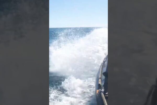 Sailing / Boating pe Marea Baltică #sealife #sailors #balticsea #sailing