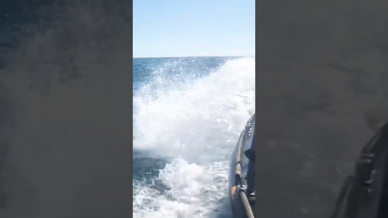 Sailing / Boating pe Marea Baltică #sealife #sailors #balticsea #sailing